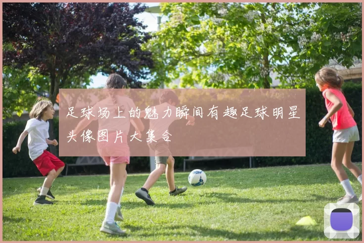 足球场上的魅力瞬间有趣足球明星头像图片大集合