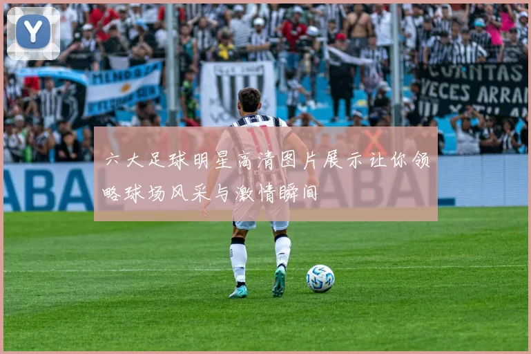 六大足球明星高清图片展示让你领略球场风采与激情瞬间