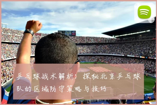 乒乓球战术解析：探秘北京乒乓球队的区域防守策略与技巧