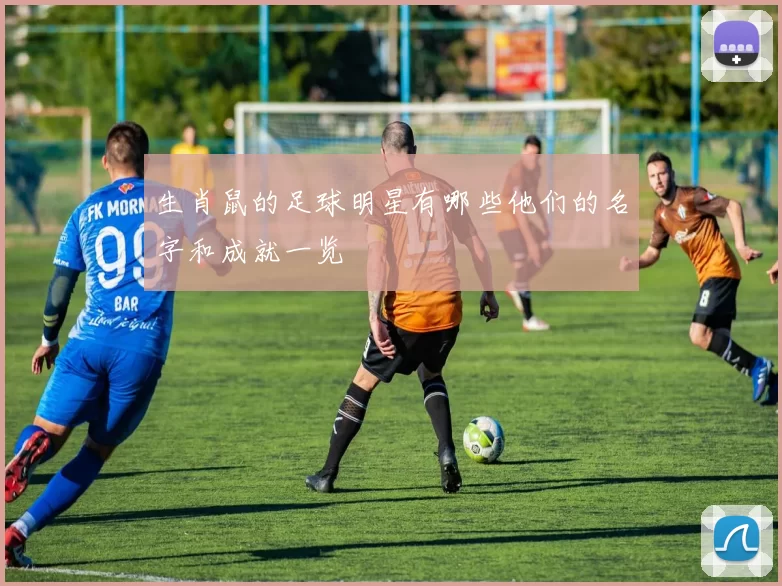 生肖鼠的足球明星有哪些他们的名字和成就一览