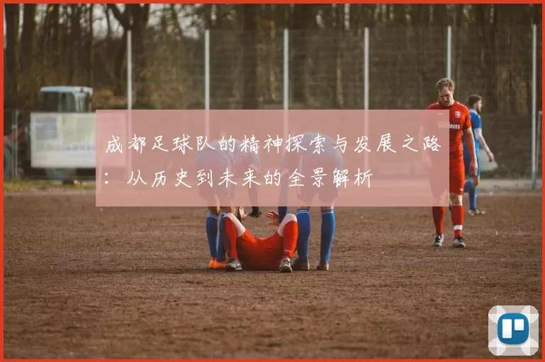 成都足球队的精神探索与发展之路：从历史到未来的全景解析