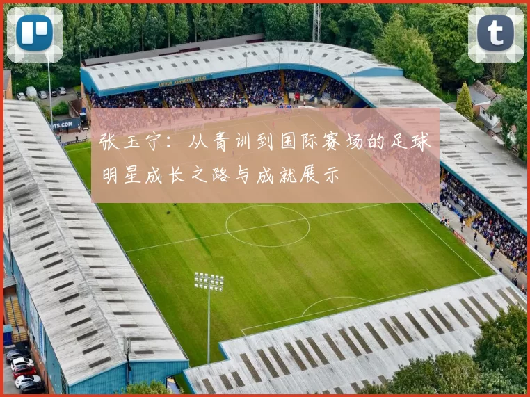 张玉宁：从青训到国际赛场的足球明星成长之路与成就展示