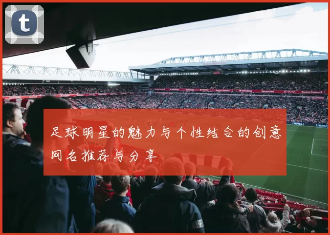 足球明星的魅力与个性结合的创意网名推荐与分享