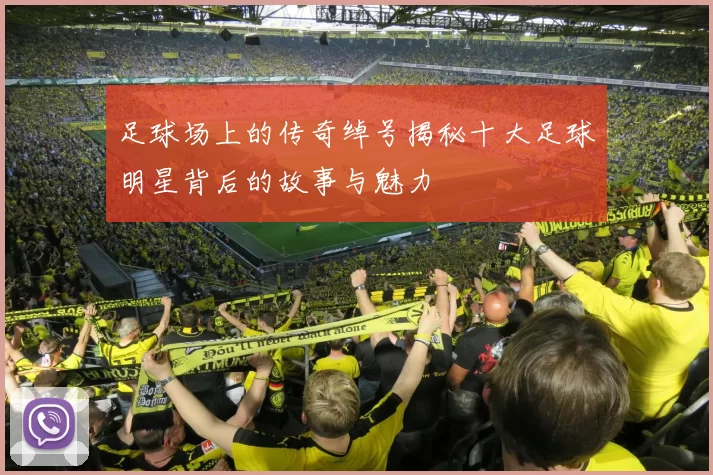 足球场上的传奇绰号揭秘十大足球明星背后的故事与魅力