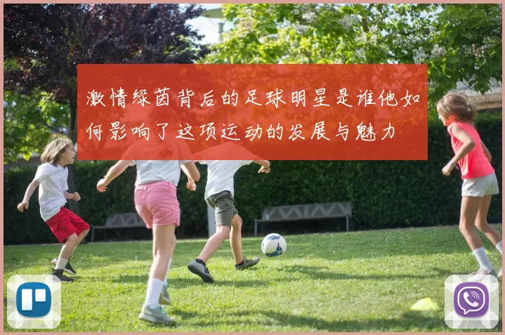 激情绿茵背后的足球明星是谁他如何影响了这项运动的发展与魅力