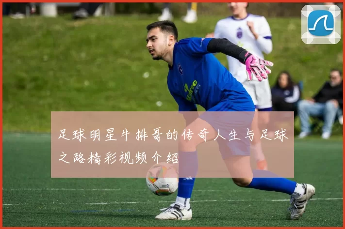 足球明星牛排哥的传奇人生与足球之路精彩视频介绍