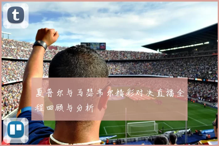 夏普尔与马瑟韦尔精彩对决直播全程回顾与分析