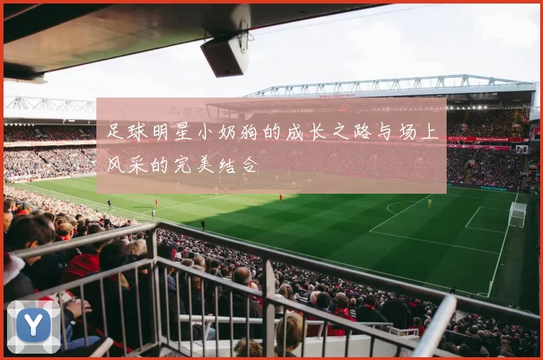 足球明星小奶狗的成长之路与场上风采的完美结合