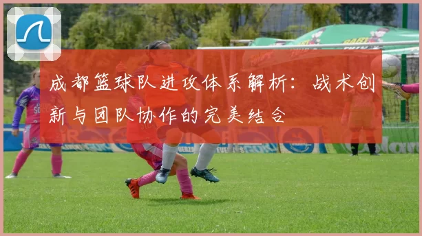成都篮球队进攻体系解析：战术创新与团队协作的完美结合