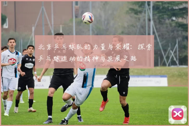 北京乒乓球队的力量与荣耀：探索乒乓球运动的精神与发展之路