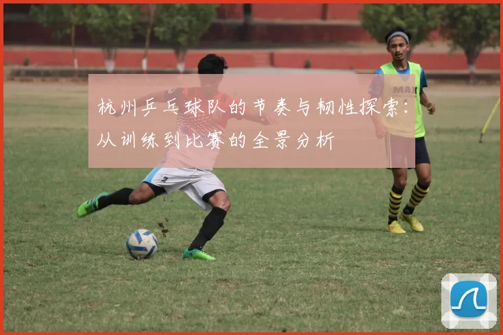 杭州乒乓球队的节奏与韧性探索：从训练到比赛的全景分析