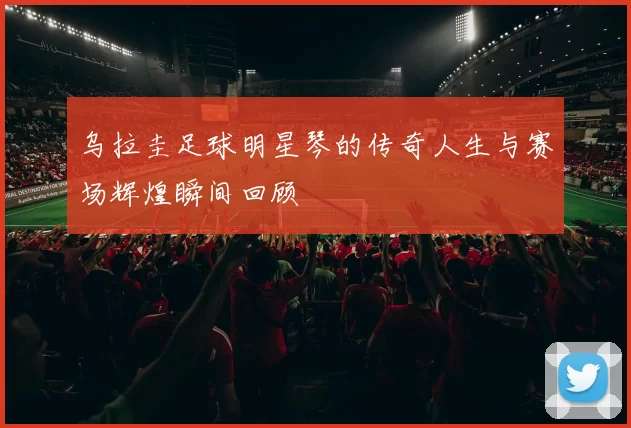 乌拉圭足球明星琴的传奇人生与赛场辉煌瞬间回顾