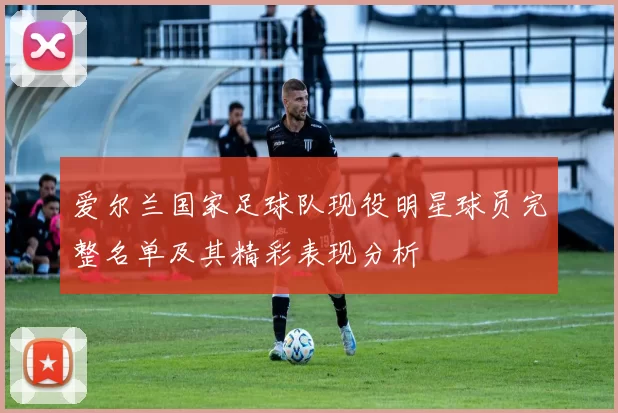 爱尔兰国家足球队现役明星球员完整名单及其精彩表现分析