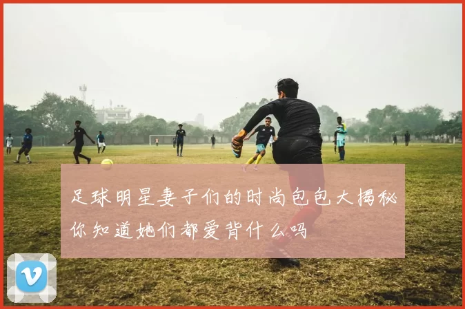 足球明星妻子们的时尚包包大揭秘你知道她们都爱背什么吗